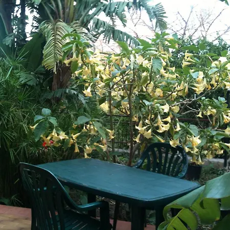 Stanza Con Bagno E Cucina In Comune In Giardino Gasthof *