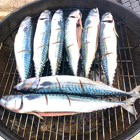 Gasthof Stanza Con Bagno E Cucina In Comune In Giardino Cefalù