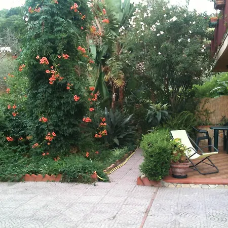 Stanza Con Bagno E Cucina In Comune In Giardino