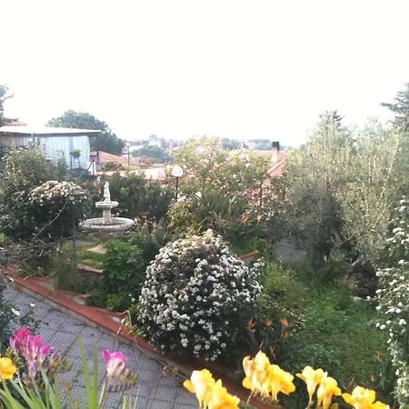 Maison d'hôtes Stanza Con Bagno E Cucina In Comune In Giardino