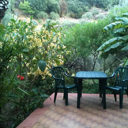 Stanza Con Bagno E Cucina In Comune In Giardino