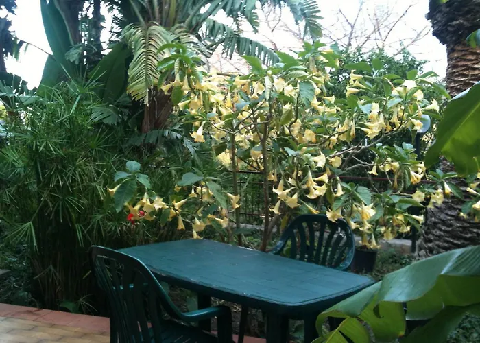 Stanza Con Bagno E Cucina In Comune In Giardino Maison d'hôtes *